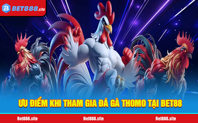 Những ưu điểm tuyệt vời khi anh em tham gia đá gà Thomo tại Bet88