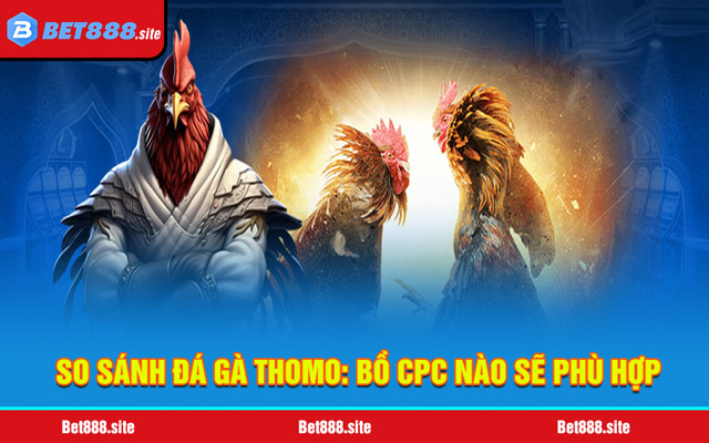 So sánh đá gà Thomo: Bồ CPC nào sẽ phù hợp với anh em nhất?