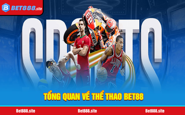 Đôi nét về thể thao Bet88