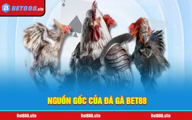 Sơ lược về đá gà Bet88