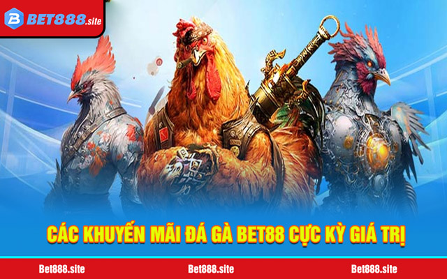 Khuyến mãi đá gà Bet88 giá trị dành cho hội viên